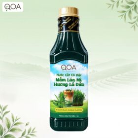 NƯỚC CỐT MẦM LÚA MÌ HƯƠNG LÁ DỨA QOA 1KG
