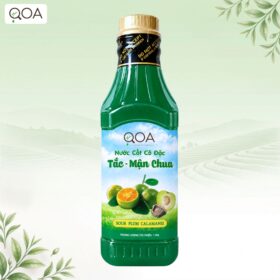 NƯỚC CỐT TẮC MẬN CHUA QOA 1KG